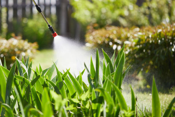 24/7 Emergency Wasp Removal experts in Riceville, TN