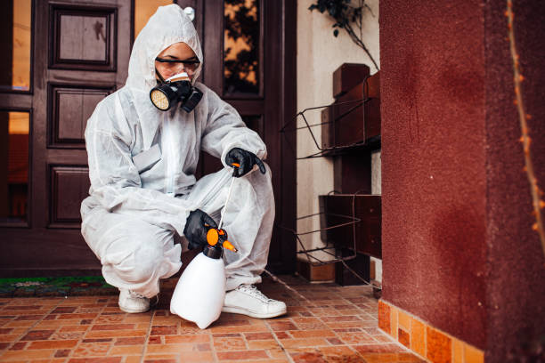 Reliable Wasp Removal contractor in Riceville, TN by Show Me Pest Control